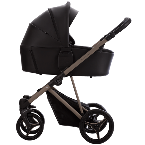 Универсальная коляска Bebetto Pelpasso Pro 04 Kashmir